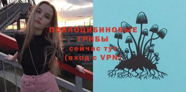 таблы Алзамай