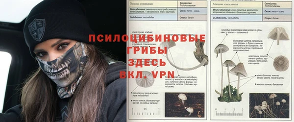 синтетический гашиш Алексеевка