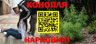 мяу мяу мука Кунгур