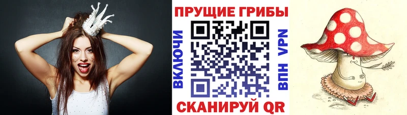 Псилоцибиновые грибы прущие грибы  цена   Егорьевск 