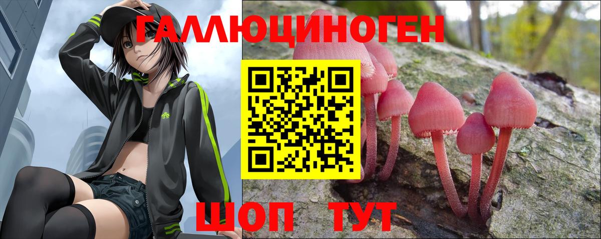 Псилоцибиновые грибы Psilocybe  как найти наркотики  Вход с VPN  Егорьевск  Псилоцибиновые грибы Cubensis 
